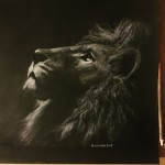 Lion Charcoal Drawing by aLayman