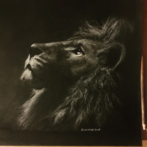 Lion Charcoal Drawing by aLayman