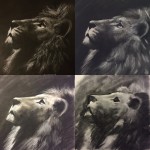 Progress of Charcoal Lion