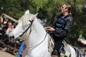 Sherwood Forest Faire 2015