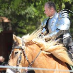 Sherwood Forest Faire 2015