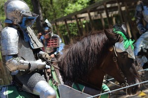 Sherwood Forest Faire 2015