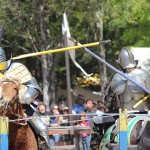 Sherwood Forest Faire 2015