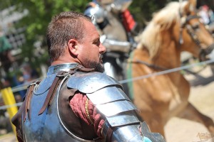 Sherwood Forest Faire 2015