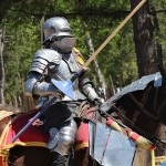 Sherwood Forest Faire 2015