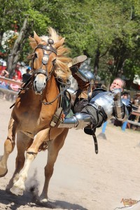 Sherwood Forest Faire 2015