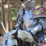 Sherwood Forest Faire 2015