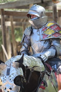 Sherwood Forest Faire 2015