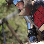 Sherwood Forest Faire 2015