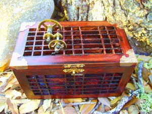 Steampunk Gear Box