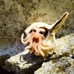 Hermy Cthulhu