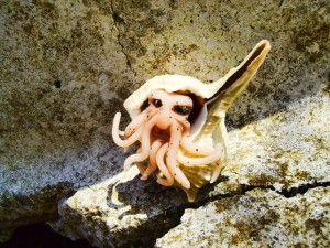 Hermy Cthulhu