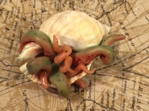 Sea Kraken Hatchling