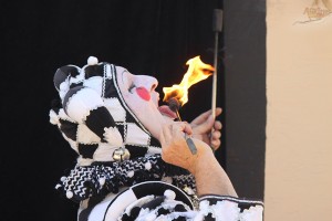 Sherwood Forest Faire 2015