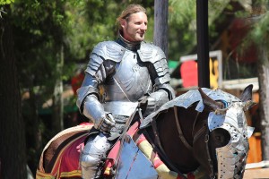 Sherwood Forest Faire 2015