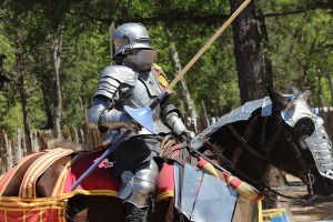 Sherwood Forest Faire 2015